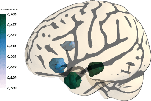 Figure 3 for Improved brain pattern recovery through ranking approaches