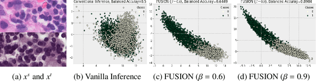 Figure 1 for FUSION: Fully Unsupervised Test-Time Stain Adaptation via Fused Normalization Statistics