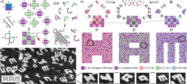 Figure 2 for Pattern recognition in the nucleation kinetics of non-equilibrium self-assembly