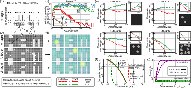 Figure 3 for Pattern recognition in the nucleation kinetics of non-equilibrium self-assembly
