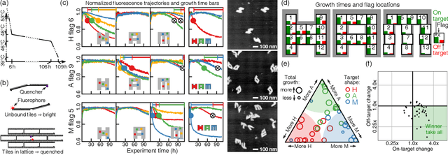 Figure 4 for Pattern recognition in the nucleation kinetics of non-equilibrium self-assembly