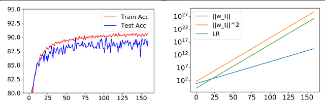 Figure 1 for An Exponential Learning Rate Schedule for Deep Learning