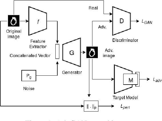 Figure 1 for AdvGAN++ : Harnessing latent layers for adversary generation