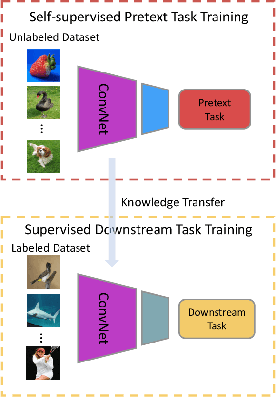 Figure 1 for Self-supervised Visual Feature Learning with Deep Neural Networks: A Survey