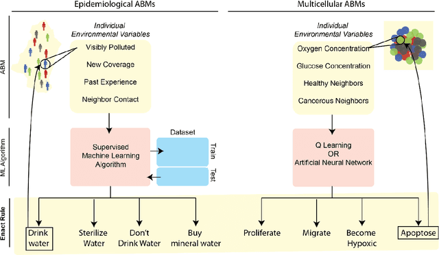 Figure 3 for Combining Machine Learning and Agent-Based Modeling to Study Biomedical Systems
