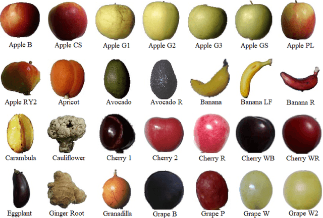 Figure 3 for Fruit classification using deep feature maps in the presence of deceptive similar classes