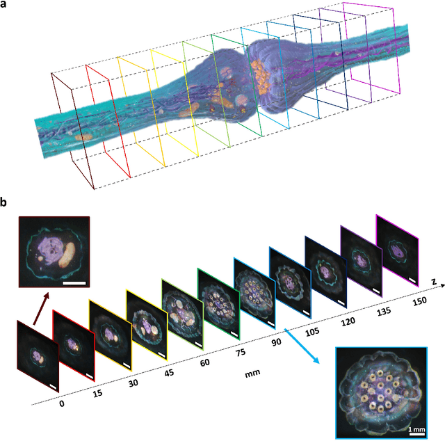 Figure 2 for High-contrast, speckle-free, true 3D holography via binary CGH optimization