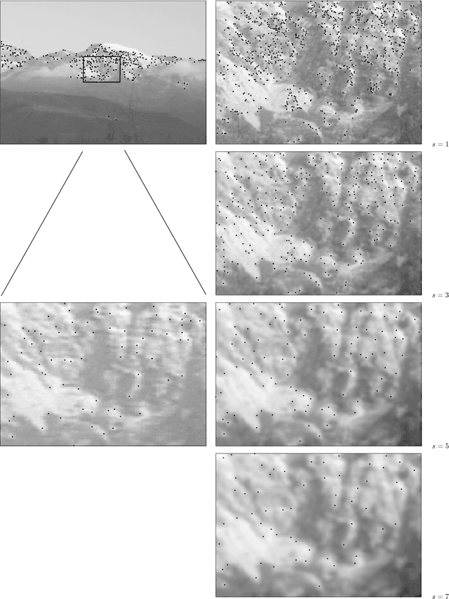 Figure 3 for Image Matching with Scale Adjustment