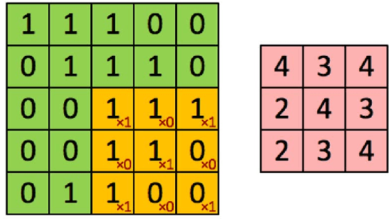 Figure 2 for Deep Learning of Cell Classification using Microscope Images of Intracellular Microtubule Networks