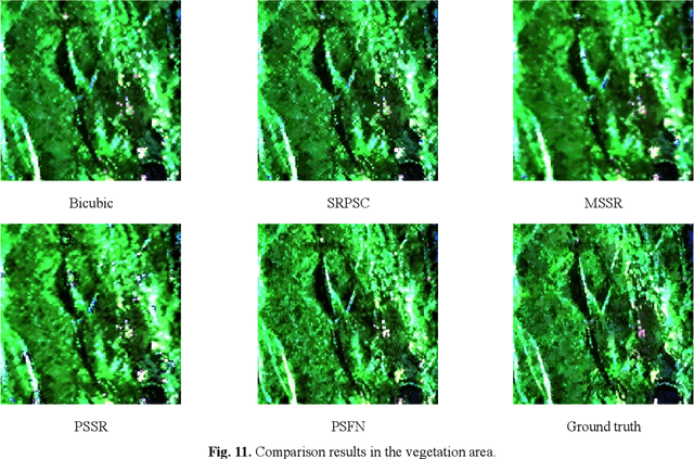 Figure 2 for Fully Polarimetric SAR and Single-Polarization SAR Image Fusion Network