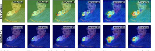 Figure 4 for There and Back Again: Revisiting Backpropagation Saliency Methods