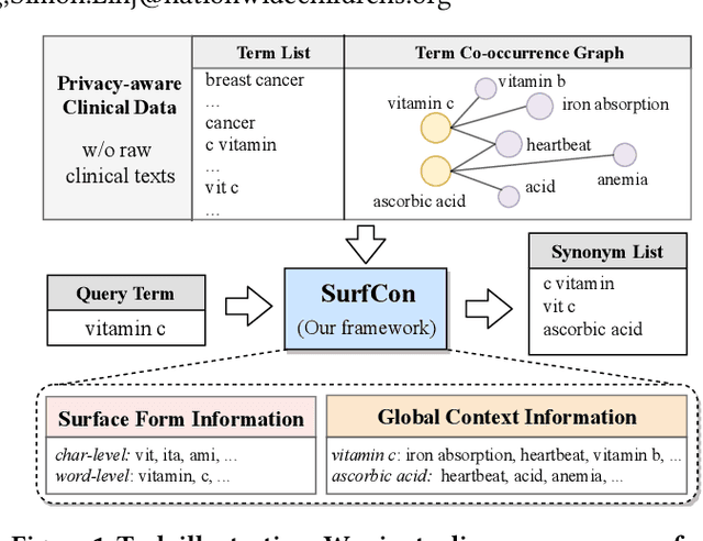Figure 1 for SurfCon: Synonym Discovery on Privacy-Aware Clinical Data