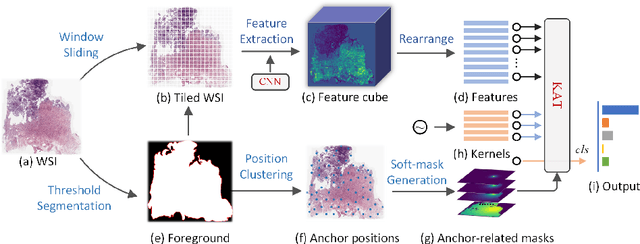 Figure 1 for Kernel Attention Transformer (KAT) for Histopathology Whole Slide Image Classification