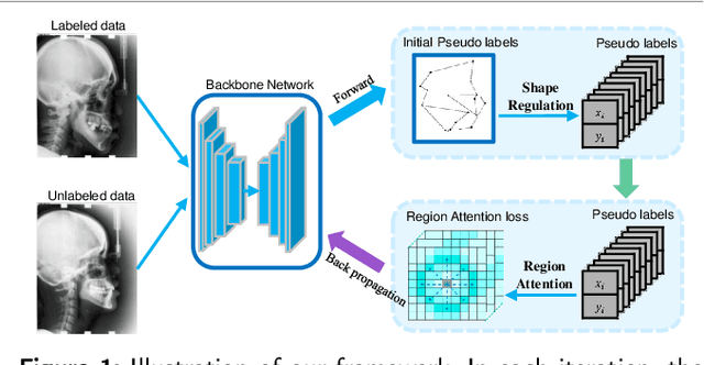 Figure 1 for Semi-supervised Anatomical Landmark Detection via Shape-regulated Self-training