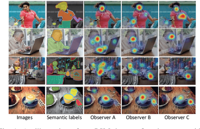 Figure 1 for Personalized Saliency and its Prediction