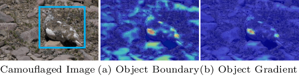 Figure 1 for Deep Gradient Learning for Efficient Camouflaged Object Detection