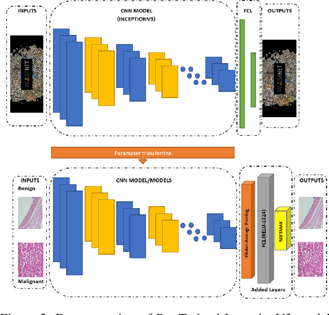 Figure 2 for Performance Comparison of Balanced and Unbalanced Cancer Datasets using Pre-Trained Convolutional Neural Network