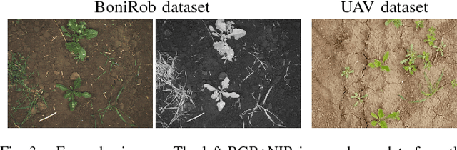 Figure 3 for Joint Stem Detection and Crop-Weed Classification for Plant-specific Treatment in Precision Farming