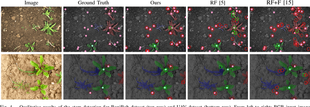 Figure 4 for Joint Stem Detection and Crop-Weed Classification for Plant-specific Treatment in Precision Farming