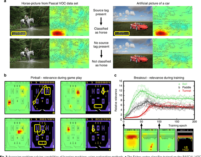 Figure 2 for Unmasking Clever Hans Predictors and Assessing What Machines Really Learn