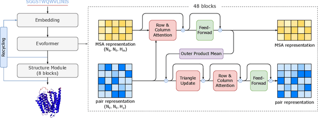 Figure 1 for FastFold: Reducing AlphaFold Training Time from 11 Days to 67 Hours