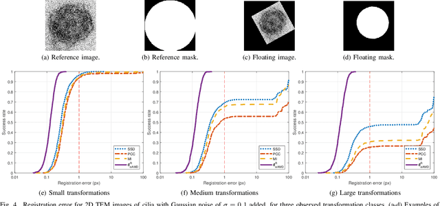 Figure 4 for Fast and Robust Symmetric Image Registration Based on Intensity and Spatial Information