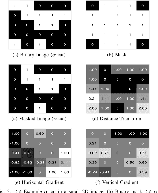 Figure 3 for Fast and Robust Symmetric Image Registration Based on Intensity and Spatial Information