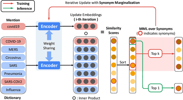 Figure 1 for Biomedical Entity Representations with Synonym Marginalization