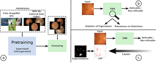 Figure 1 for On the Robustness of Pretraining and Self-Supervision for a Deep Learning-based Analysis of Diabetic Retinopathy