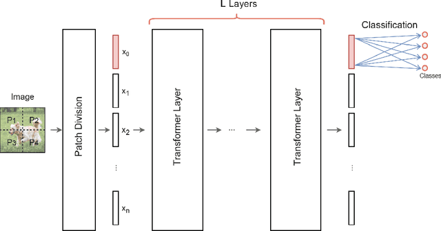 Figure 1 for Quantum Vision Transformers