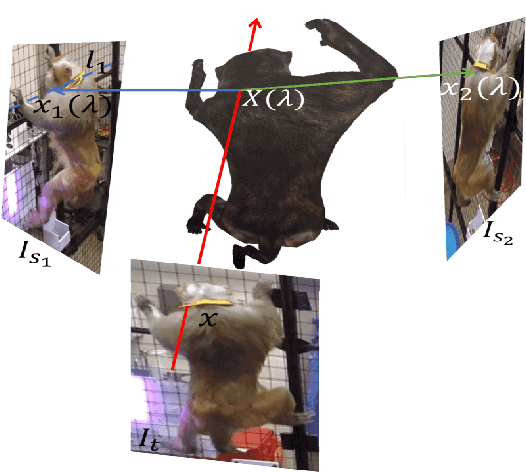 Figure 3 for Multiview Cross-supervision for Semantic Segmentation