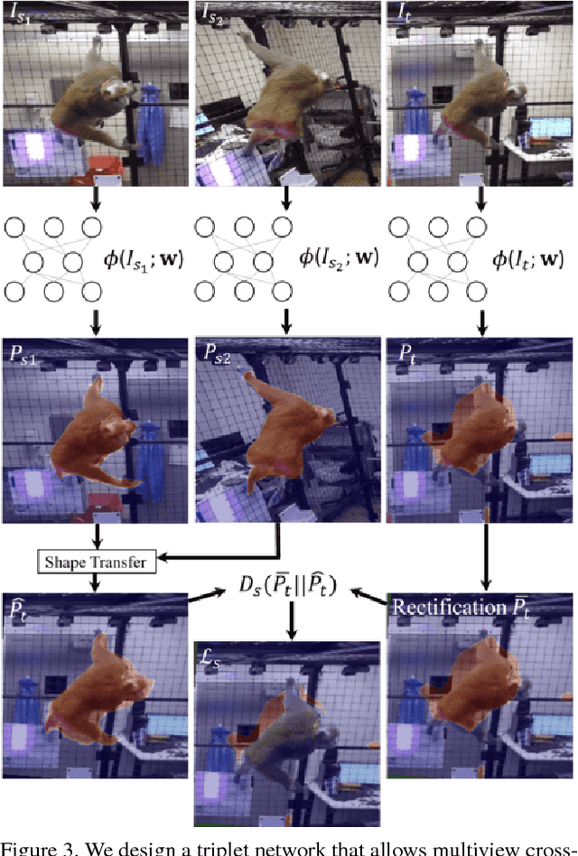 Figure 4 for Multiview Cross-supervision for Semantic Segmentation