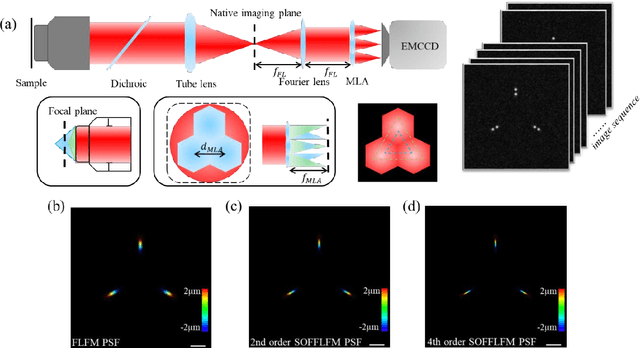 Figure 1 for SOFFLFM: Super-resolution optical fluctuation Fourier light-field microscopy