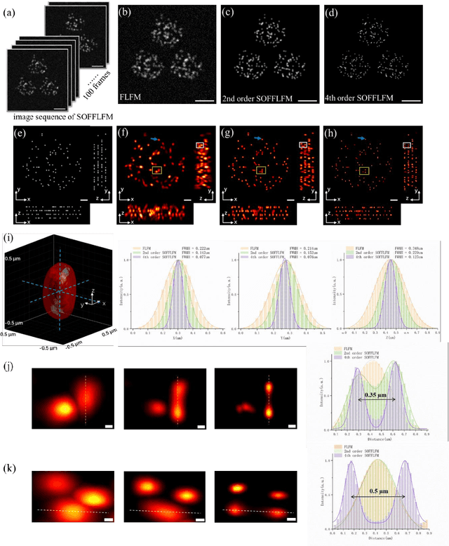 Figure 4 for SOFFLFM: Super-resolution optical fluctuation Fourier light-field microscopy