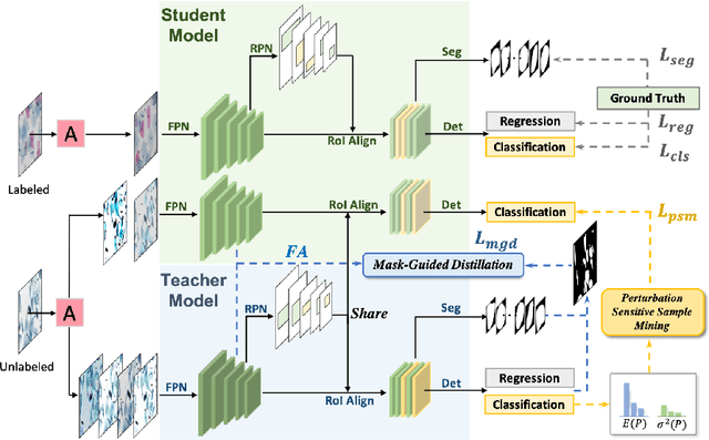 Figure 1 for Deep Semi-supervised Knowledge Distillation for Overlapping Cervical Cell Instance Segmentation