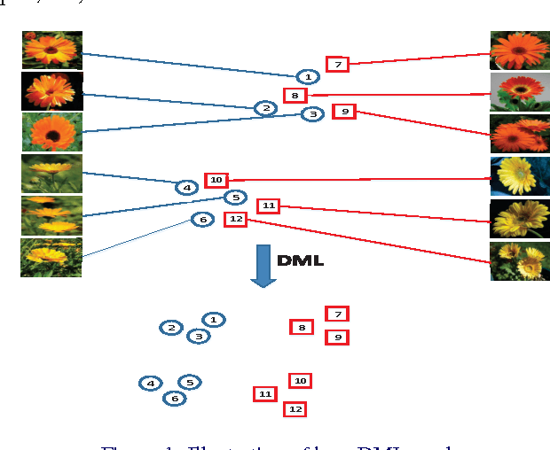 Figure 1 for Fine-Grained Visual Categorization via Multi-stage Metric Learning