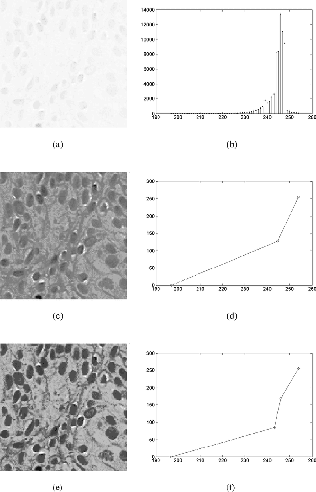Figure 2 for Gray Level Image Enhancement Using Polygonal Functions