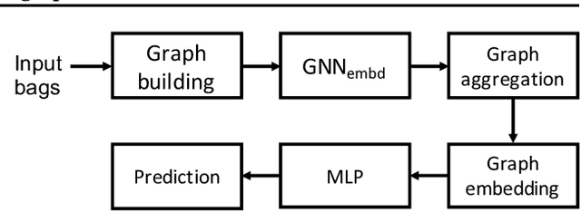 Figure 1 for Multiple instance learning with graph neural networks