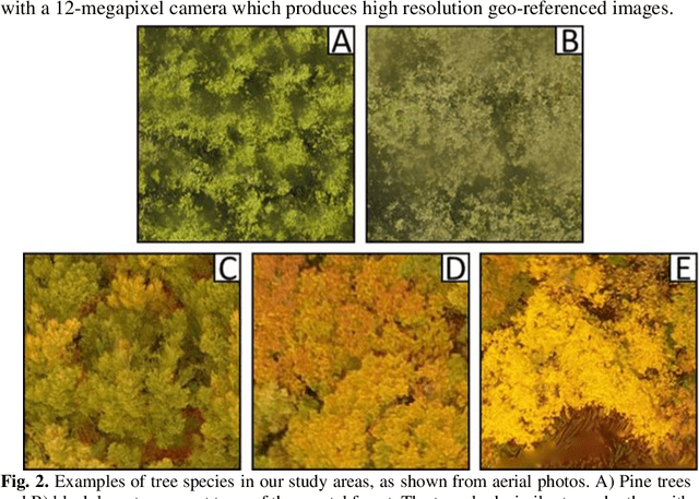 Figure 2 for Identification of Tree Species in Japanese Forests based on Aerial Photography and Deep Learning