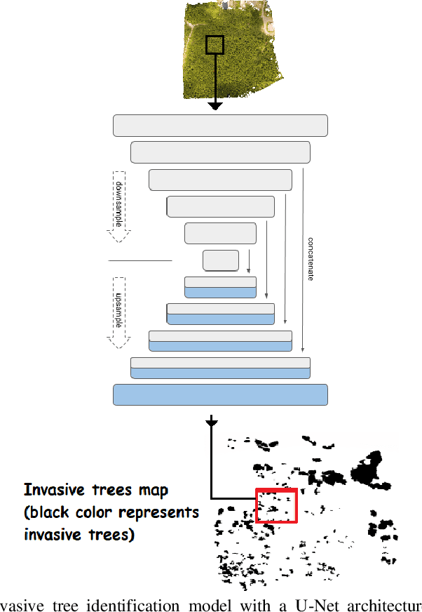 Figure 3 for Identification of Tree Species in Japanese Forests based on Aerial Photography and Deep Learning