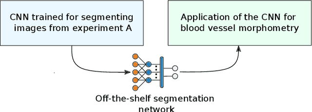 Figure 1 for An Analysis of the Influence of Transfer Learning When Measuring the Tortuosity of Blood Vessels