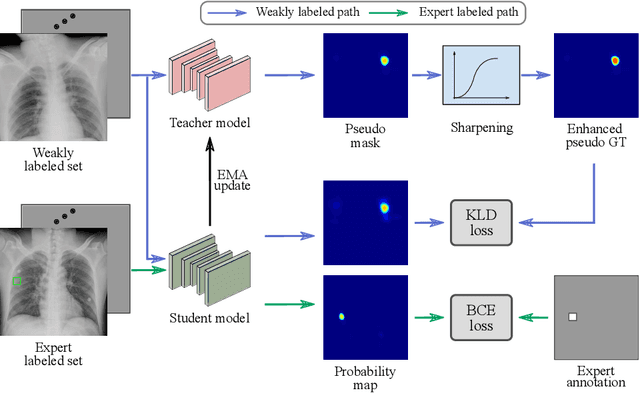 Figure 1 for Knowledge Distillation with Adaptive Asymmetric Label Sharpening for Semi-supervised Fracture Detection in Chest X-rays
