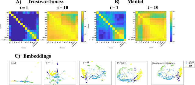 Figure 2 for Visualizing High Dimensional Dynamical Processes