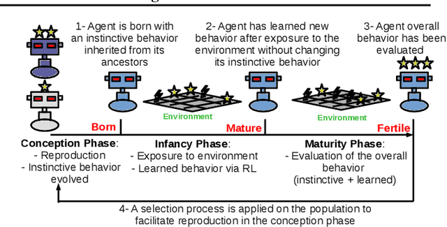 Figure 1 for EVO-RL: Evolutionary-Driven Reinforcement Learning