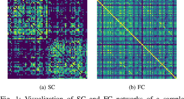 Figure 1 for Learning to Model the Relationship Between Brain Structural and Functional Connectomes