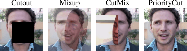 Figure 3 for PriorityCut: Occlusion-guided Regularization for Warp-based Image Animation