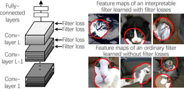 Figure 1 for Interpretable CNNs