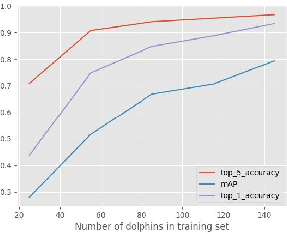 Figure 4 for Individual common dolphin identification via metric embedding learning