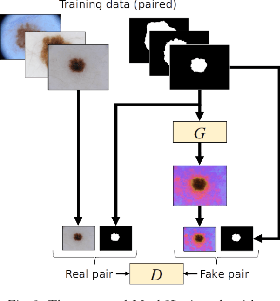 Figure 2 for Mask2Lesion: Mask-Constrained Adversarial Skin Lesion Image Synthesis