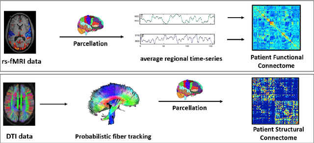 Figure 1 for Deep sr-DDL: Deep Structurally Regularized Dynamic Dictionary Learning to Integrate Multimodal and Dynamic Functional Connectomics data for Multidimensional Clinical Characterizations